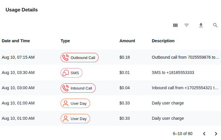 Usage Details table showing individual charges with date, type chips, amount, and description